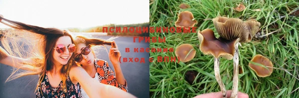 амф Беломорск